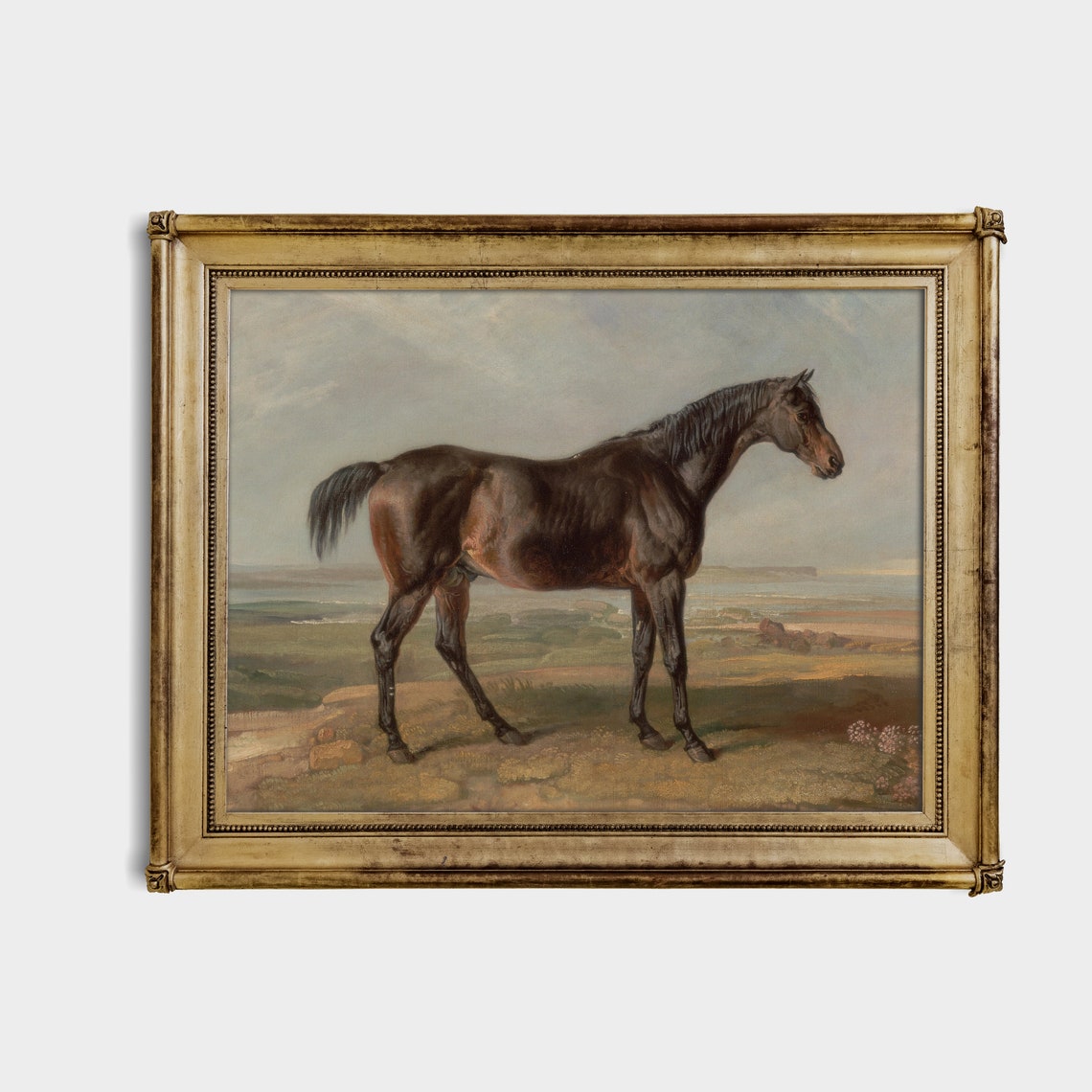 Antique Dark Bay Horse Standing on Moorland Vintage Equine Poster - Image 2