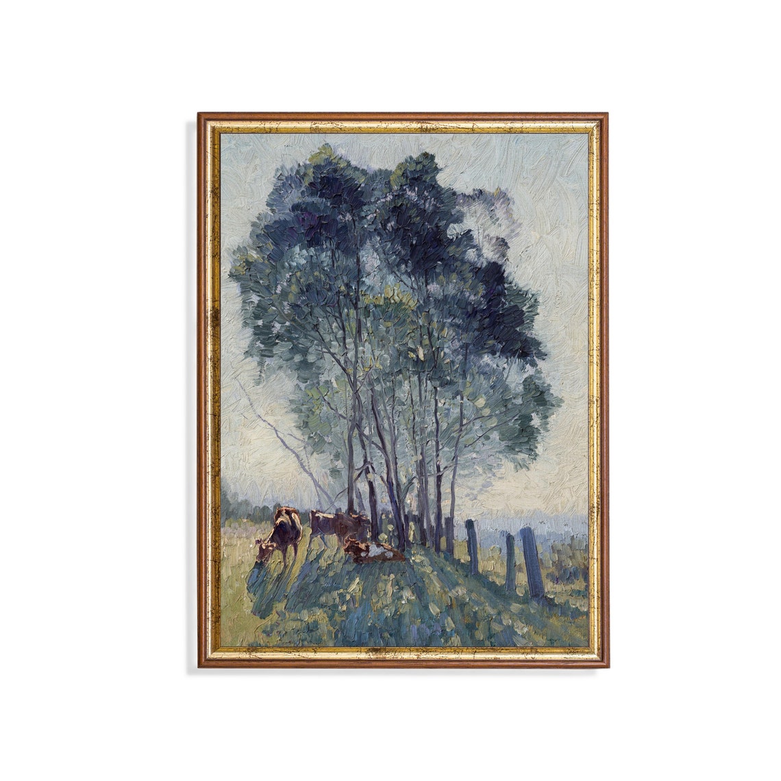 Cows Grazing Beneath Tall Trees in Soft Morning Light Poster