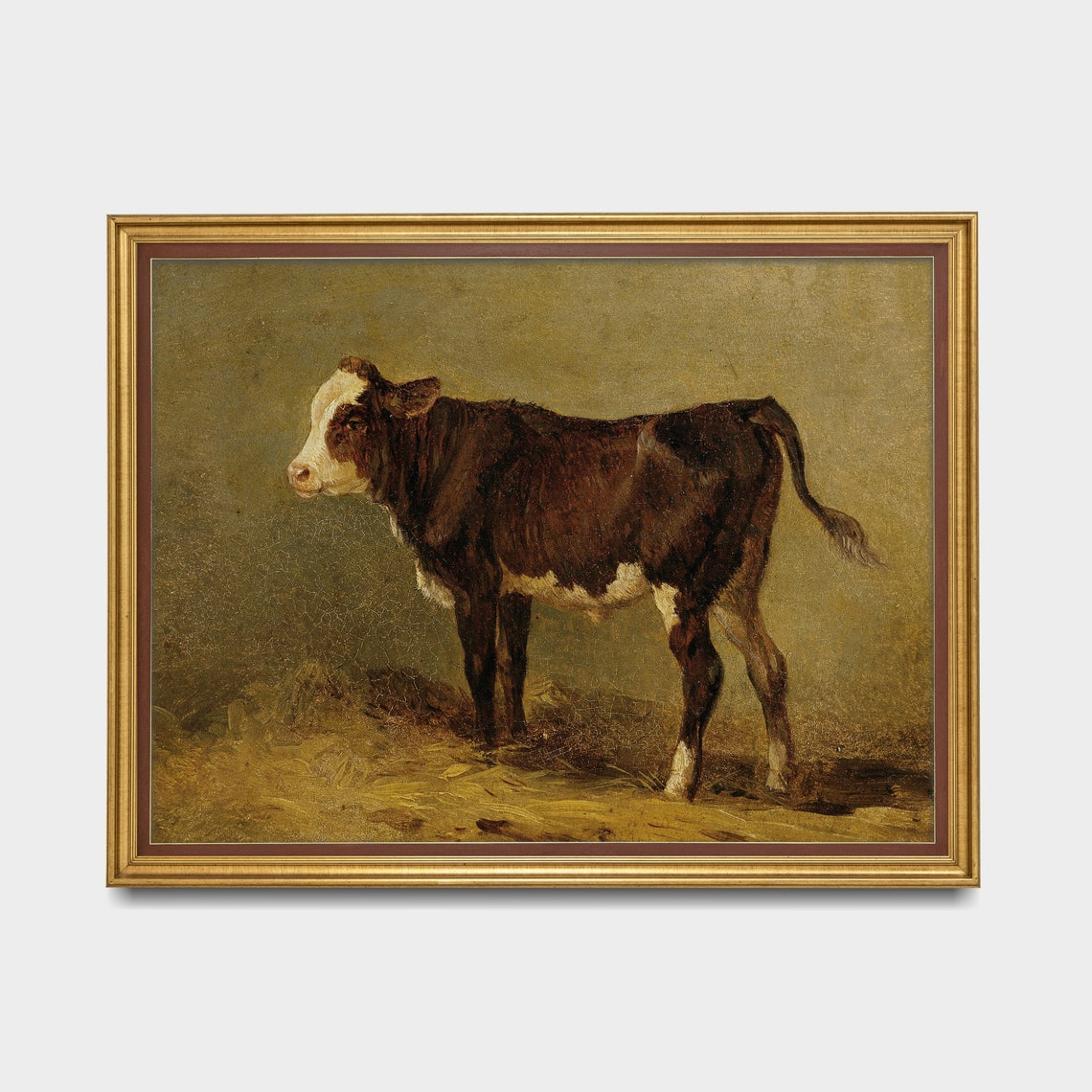 Young Brown and White Calf Standing in a Field Farm Art Poster - Image 3