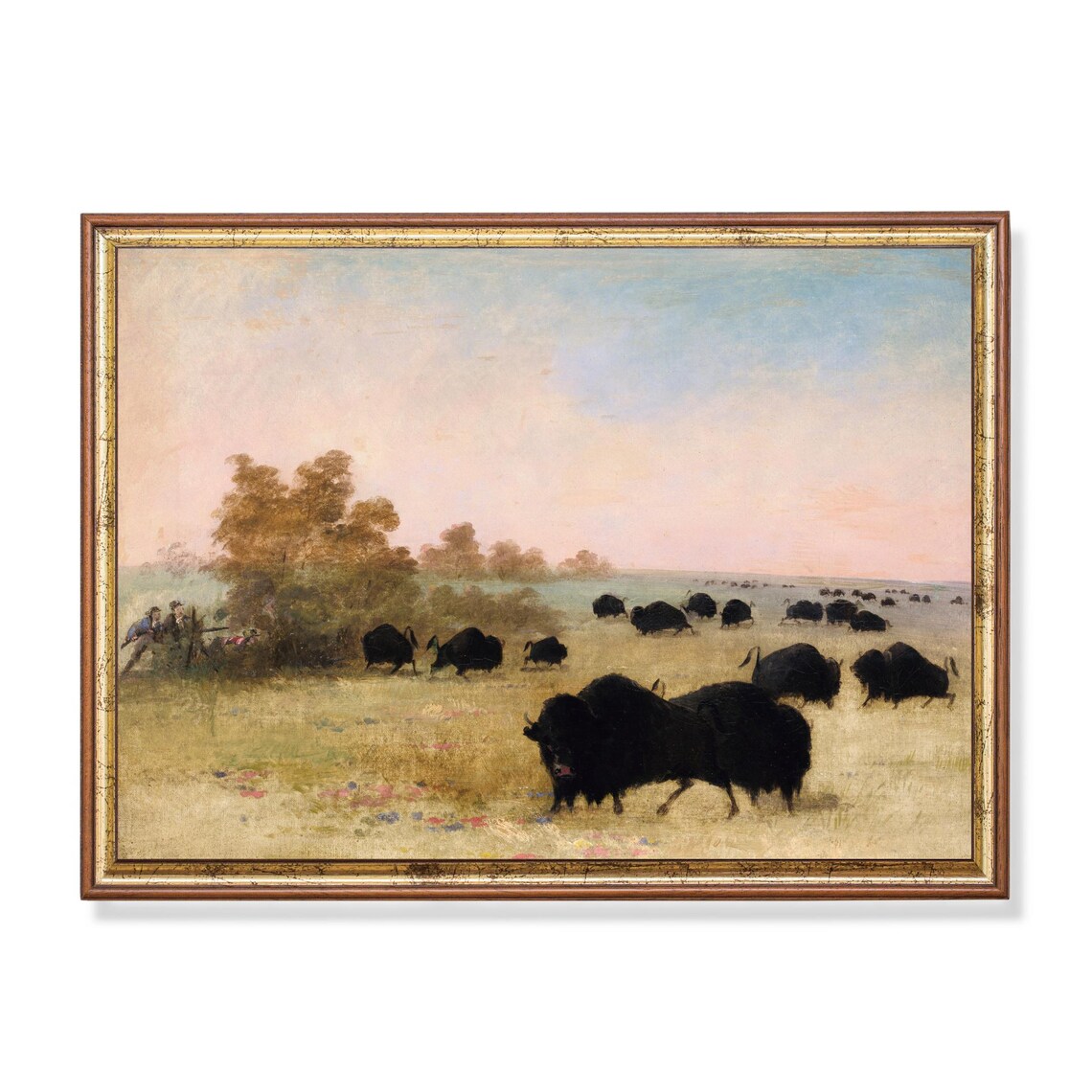 Buffalo Herd on Prairie Hunters American Frontier Wildlife Poster