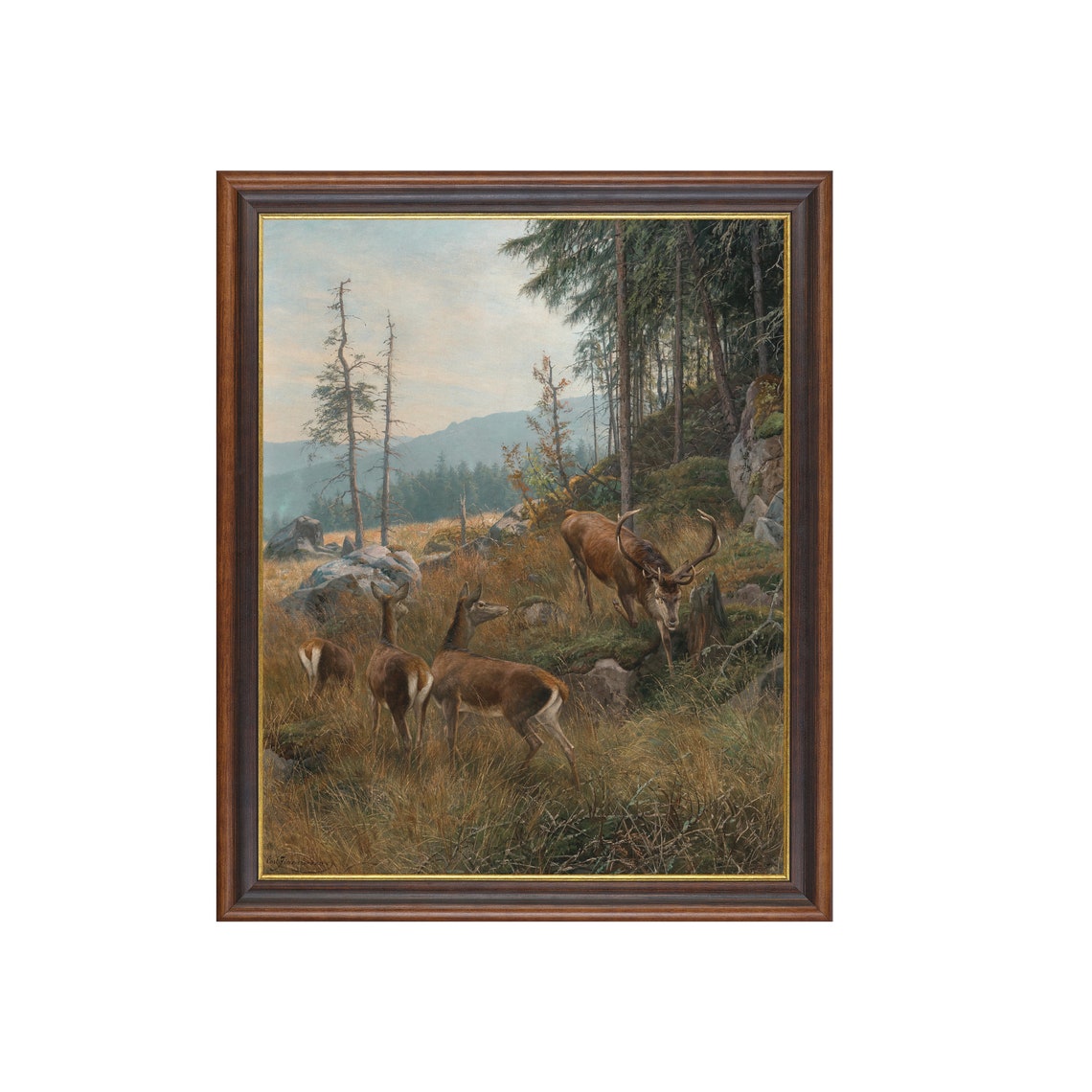 Red Deer Stag with Hinds in Mountain Forest Wildlife Painting Poster