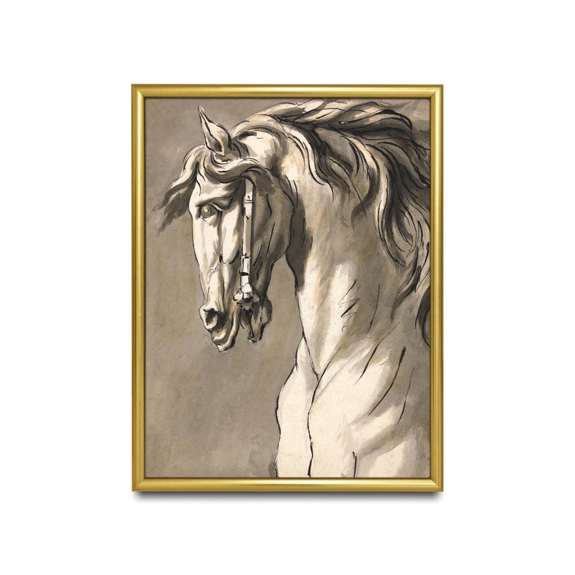 Noble White Horse Head Study Vintage Equine Pencil Sketch Poster - Image 2