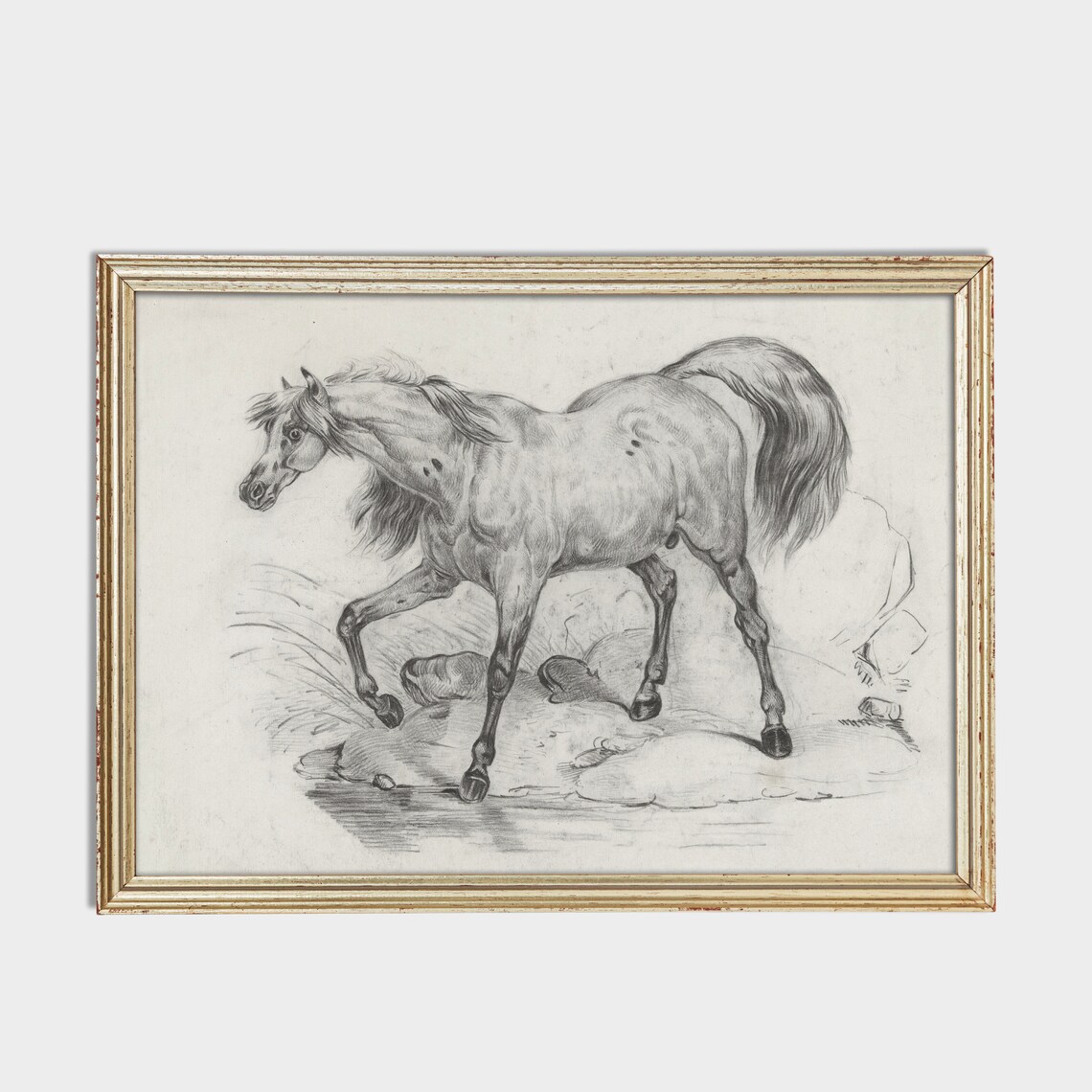 Vintage Horse Sketch Art of an Arabian Horse by the Water Poster - Image 3