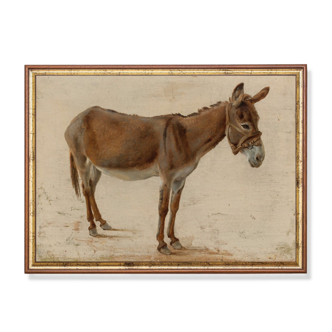 Standing Donkey with Bridle Vintage Antique Farm Animal Study Poster