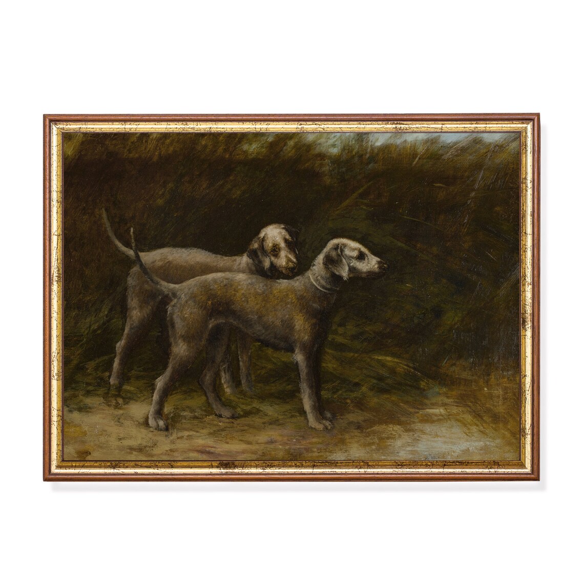Pair of Deerhounds at the Edge of Dark Woods Dog Portrait Poster