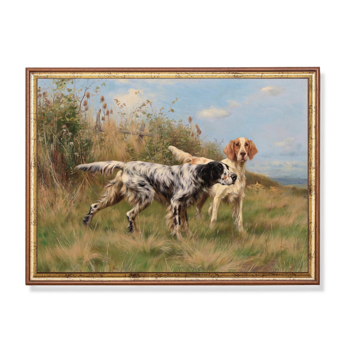 Two English Setters Holding Point in a Tall Grassy Field Poster