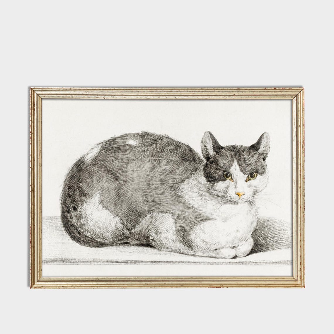 Detailed Pencil Sketch Grey White Cat Lying Down Feline Art Poster - Image 3