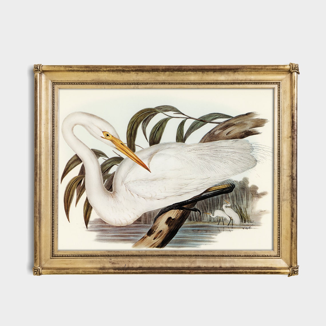 White Egret Perched on a Branch Over Water Vintage Bird Poster - Image 3