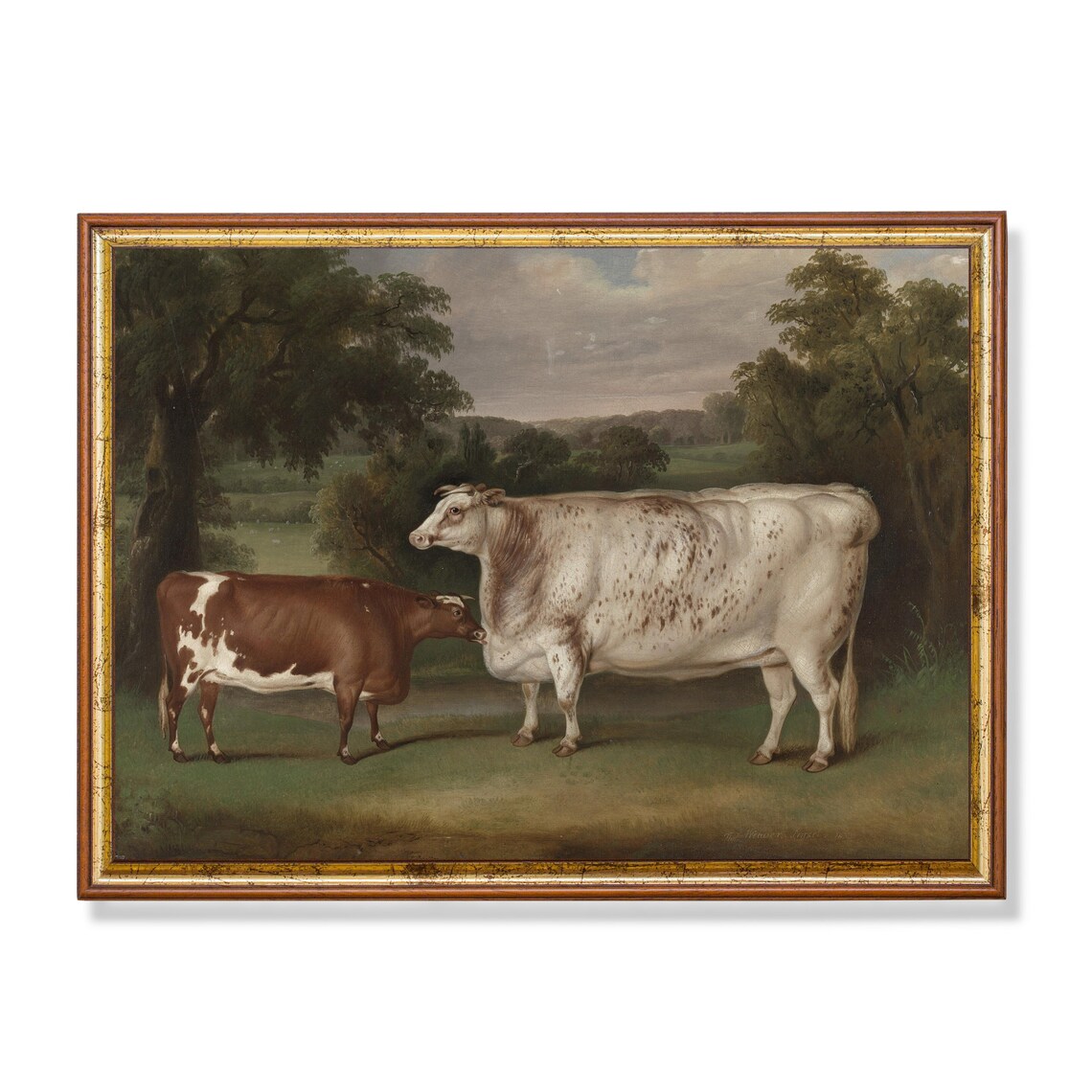 Vintage Cattle Painting, Farmhouse Rustic Art Print