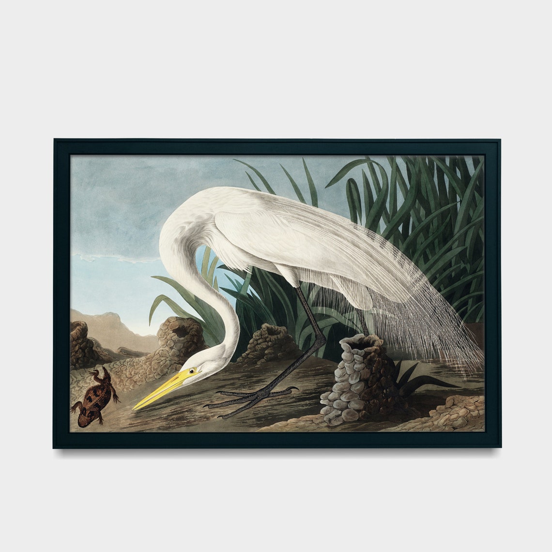 Great White Heron Striking Prey Vintage Bird Illustration Poster - Image 3