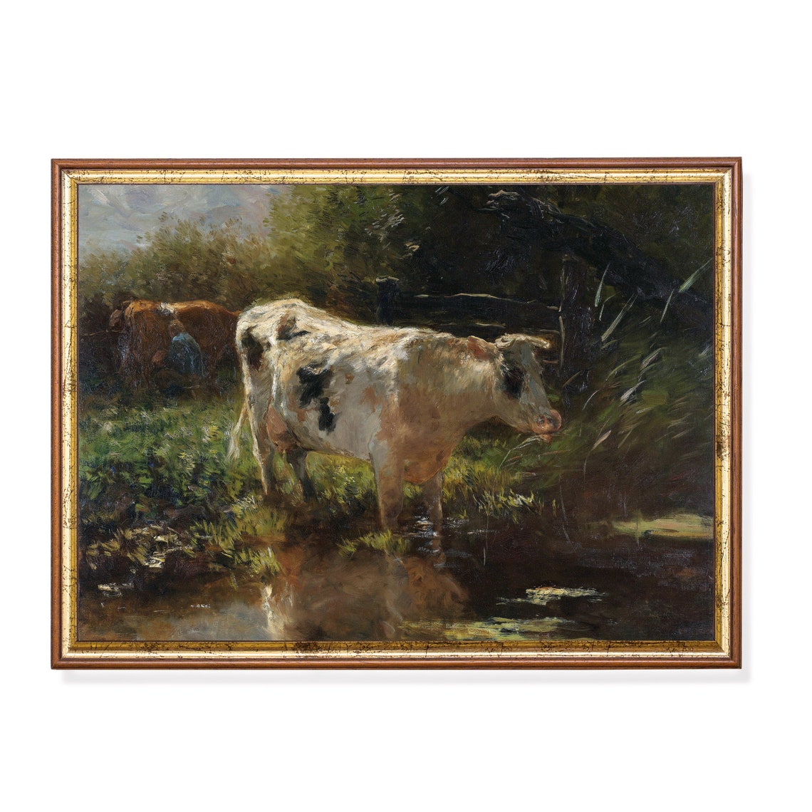 Spotted White Cow Drinking At Woodland Stream Vintage Art Poster