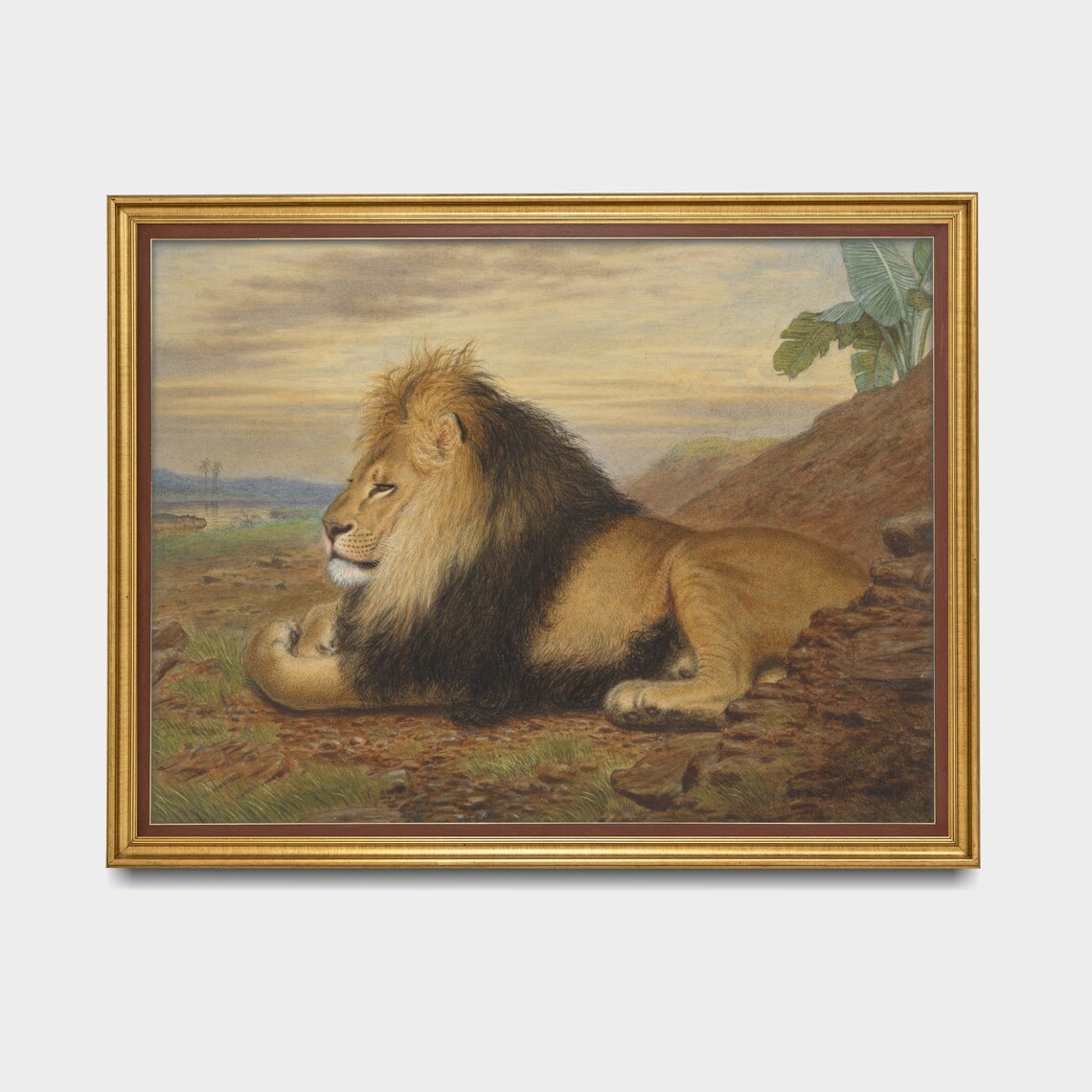 Male Lion Resting on Rocks by Water at Sunset Wildlife Poster - Image 3