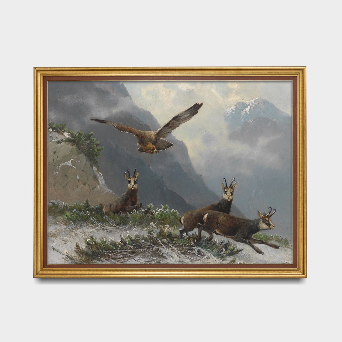 Chamois in Snowy High Mountains with Soaring Eagle Wildlife Poster - Image 3