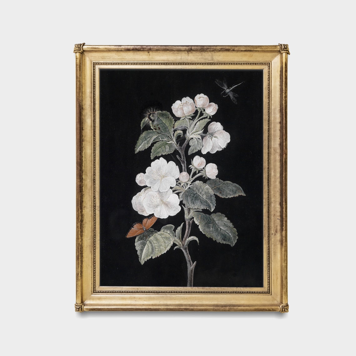 White Blossom Branch with Butterfly on Black Vintage Botanical Poster - Image 2