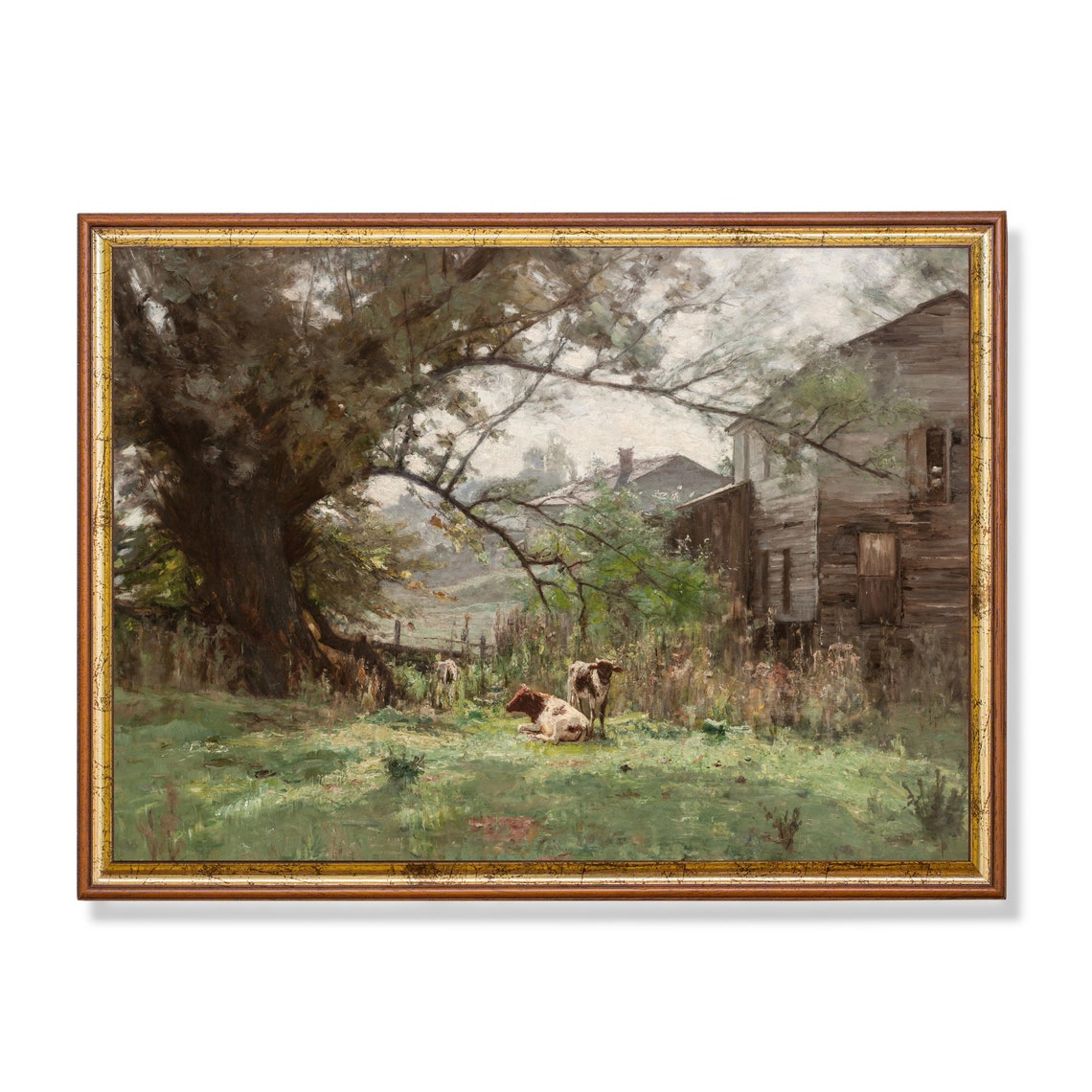 Cows Resting in a Meadow by an Old Wooden Barn Vintage Painting Poster
