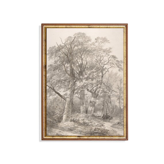 Printed And Shipped Vintage Tree Sketch Drawing Antique Sketch Print Neutral Art Forest Drawing Farmhouse Decor Physical Prints