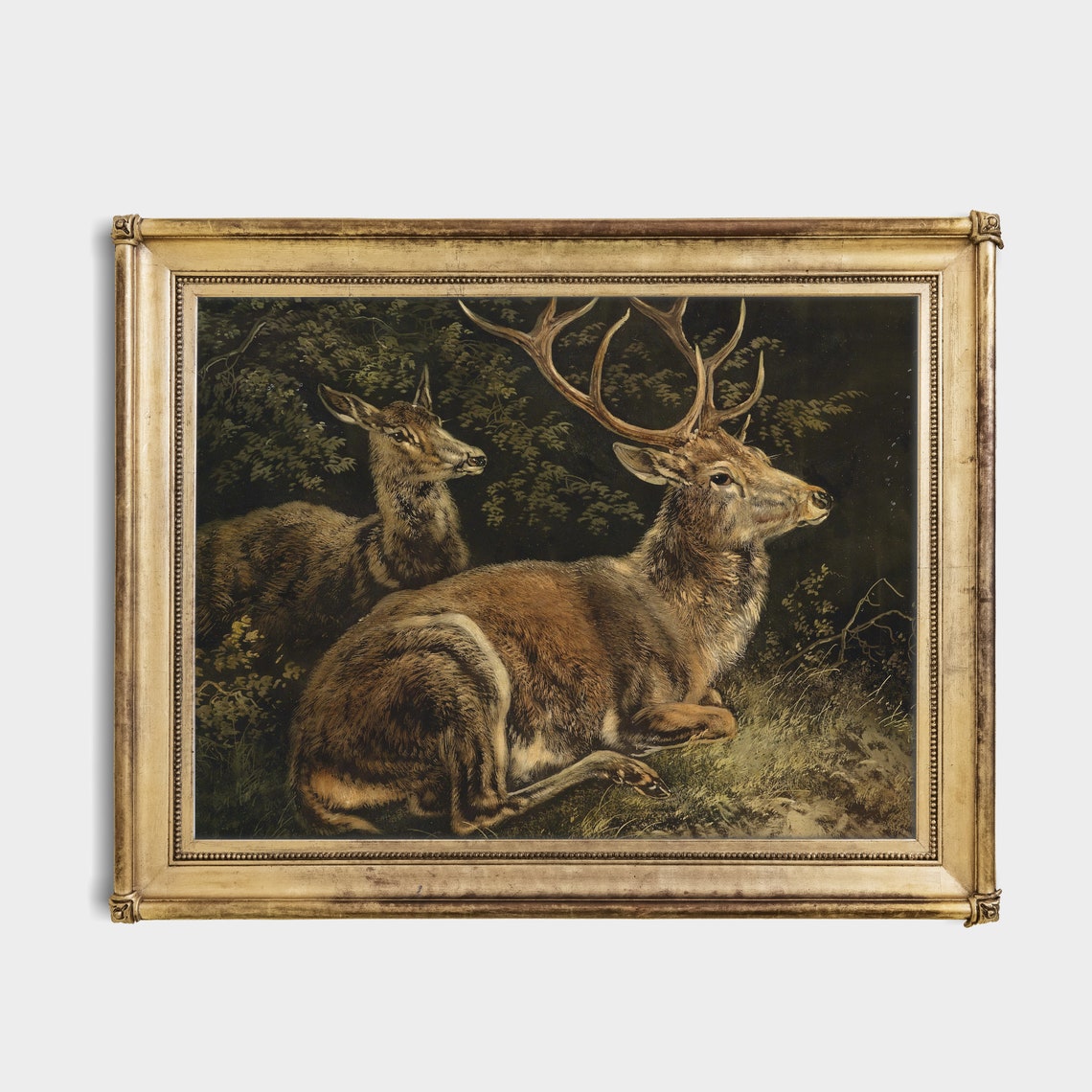 Resting Stag and Hind in a Dark Forest Clearing Vintage Deer Poster - Image 2