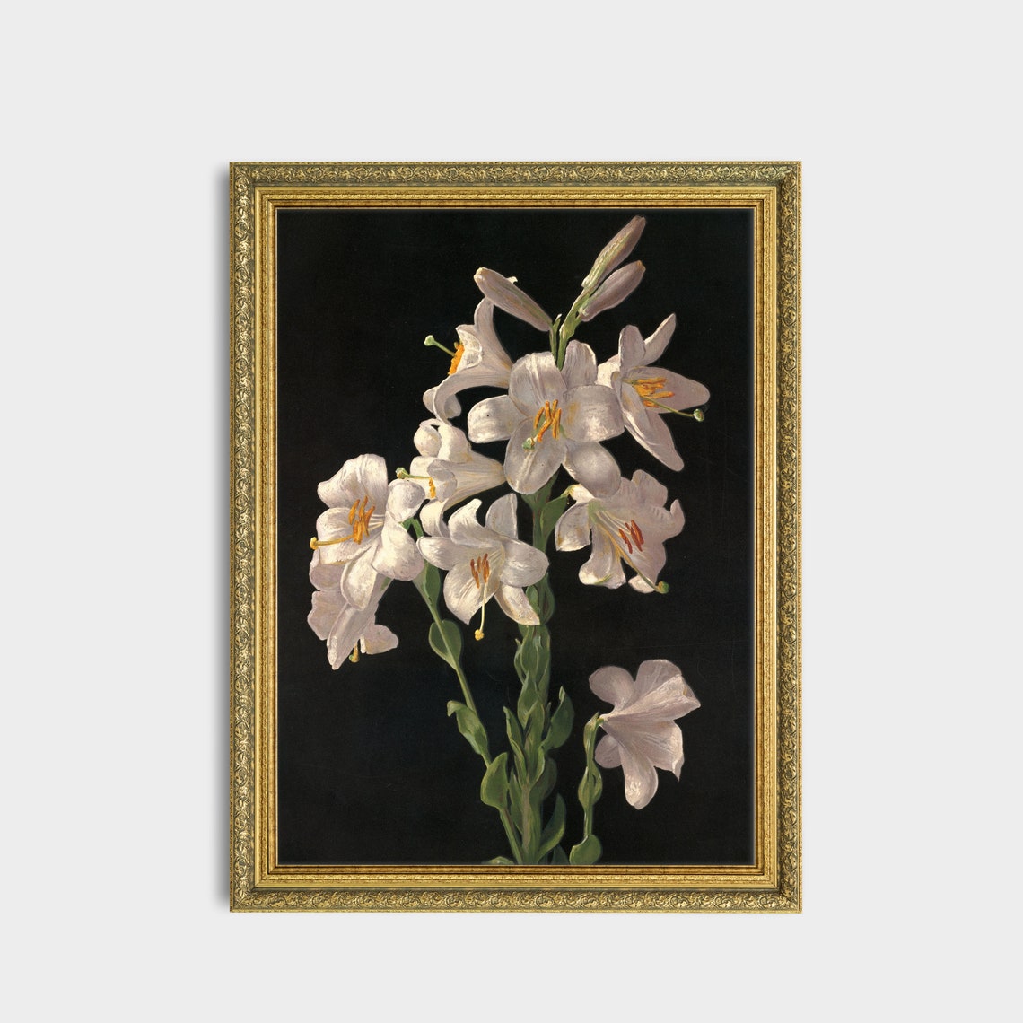Elegant White Lilies Blooming Against a Deep Black Background Poster - Image 3