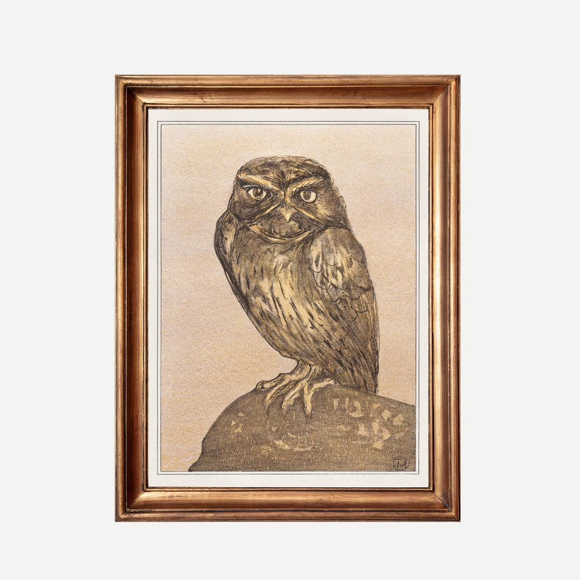 Little Owl Perched on a Rock Vintage Sepia Owl Illustration Poster - Image 3