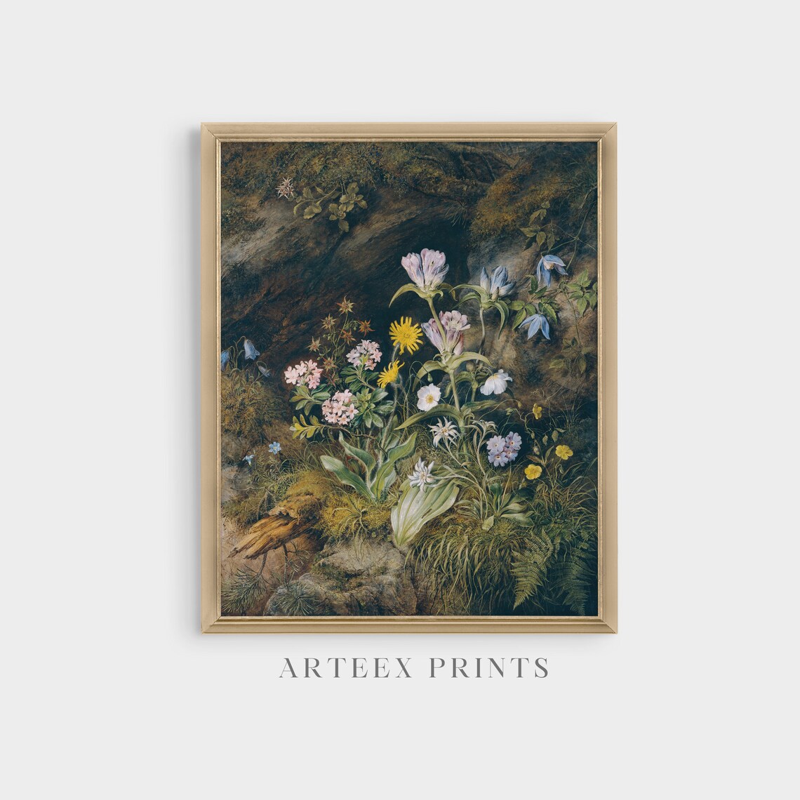 Wildflowers at a Rocky Cave Mouth Vintage Botanical Art Poster - Image 4