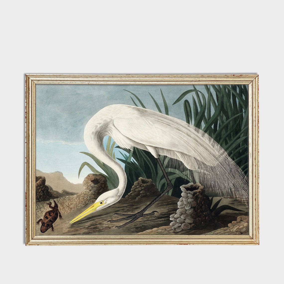 Great White Heron Striking Prey Vintage Bird Illustration Poster - Image 4