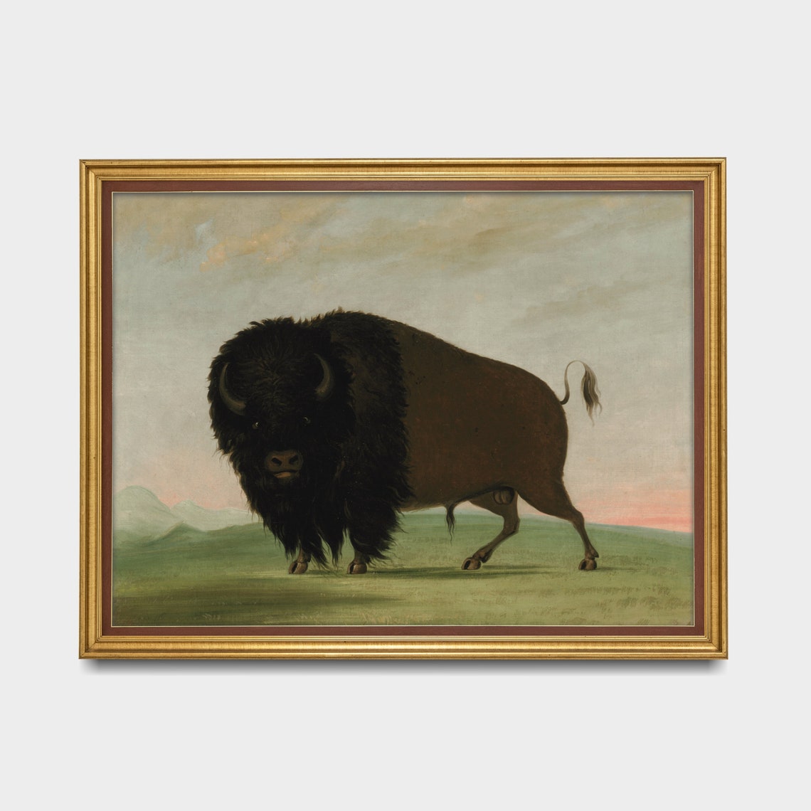 American Bison Bull Standing on the Open Prairie Vintage Animal Poster - Image 3