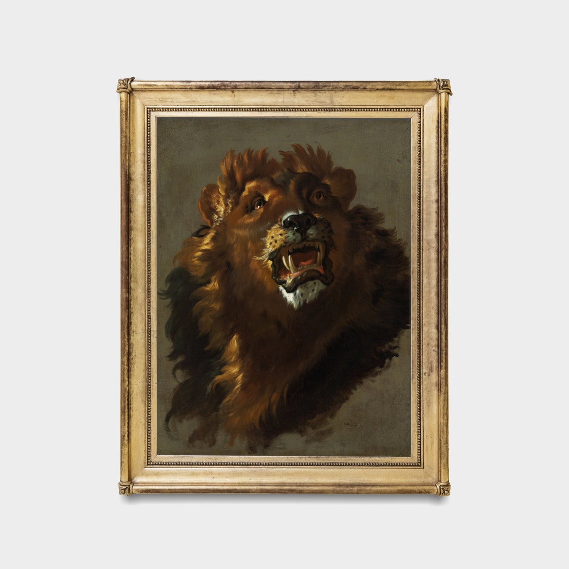 Roaring Lion Head Study in Dark Baroque Painting Style Poster - Image 5