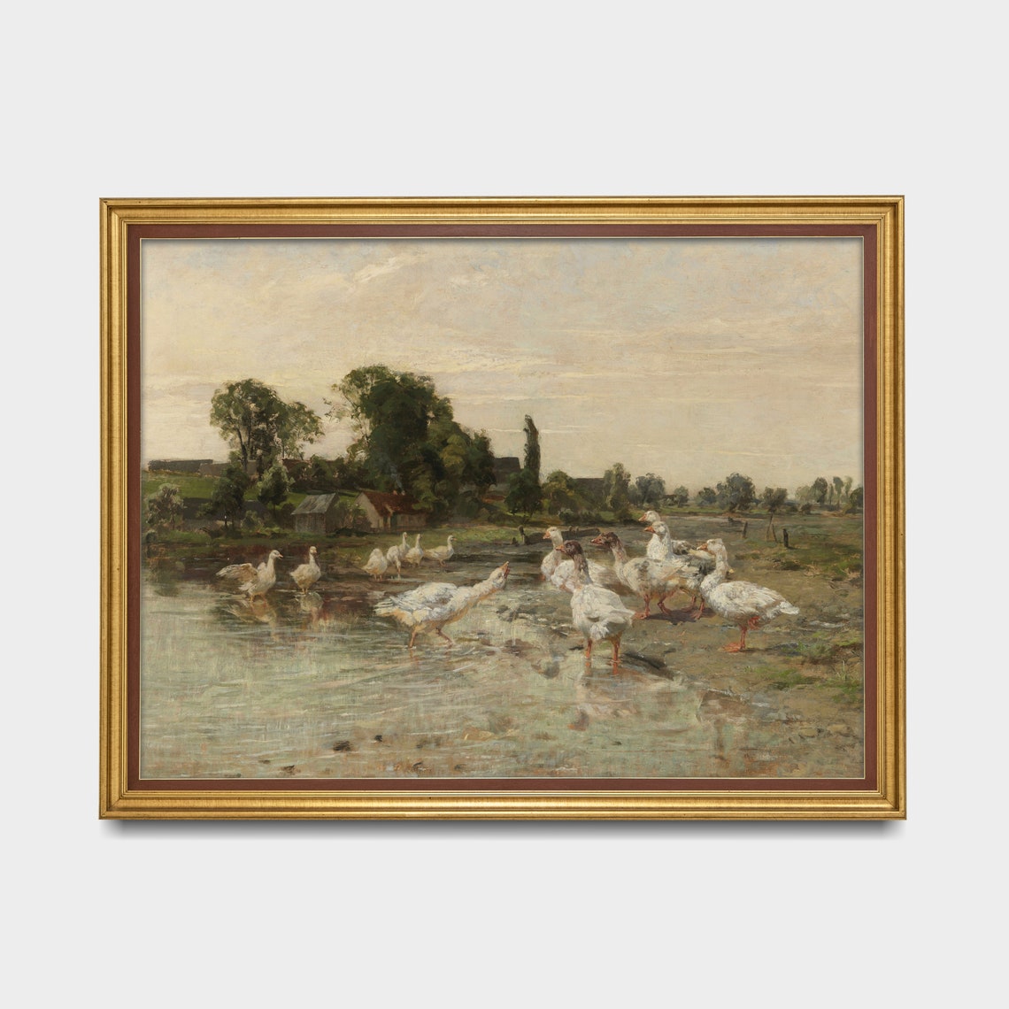 Flock of White Geese Wading at the Water Vintage Birds Poster - Image 2