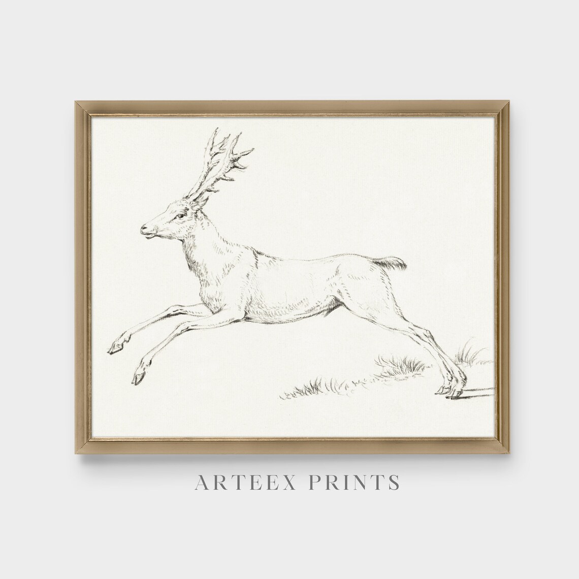 Leaping Stag with Grand Antlers Vintage Ink Sketch Wildlife Drawing Print - Image 4