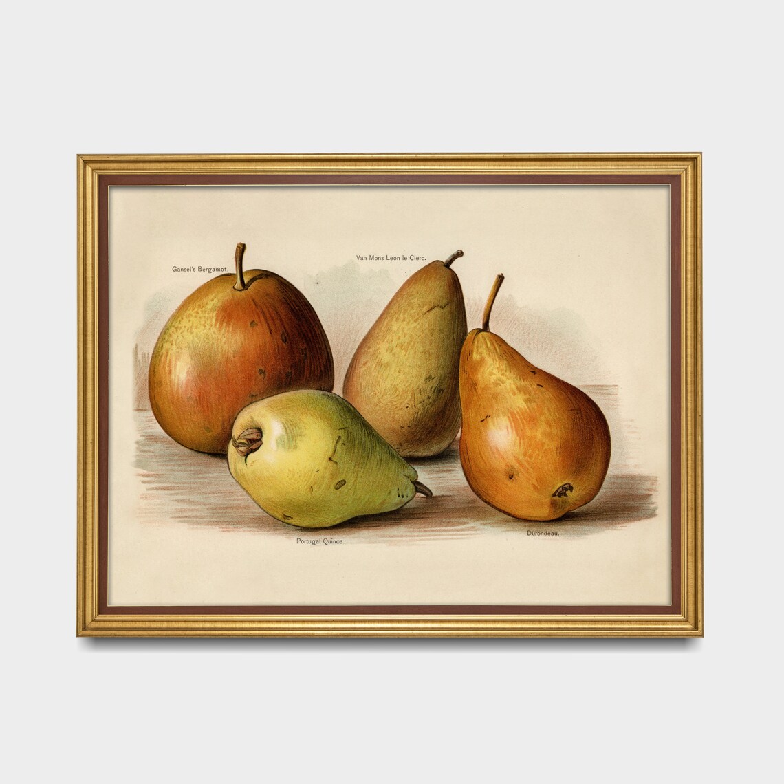 Vintage Pears Antique Fruits Art Print, Farmhouse Kitchen - Image 3
