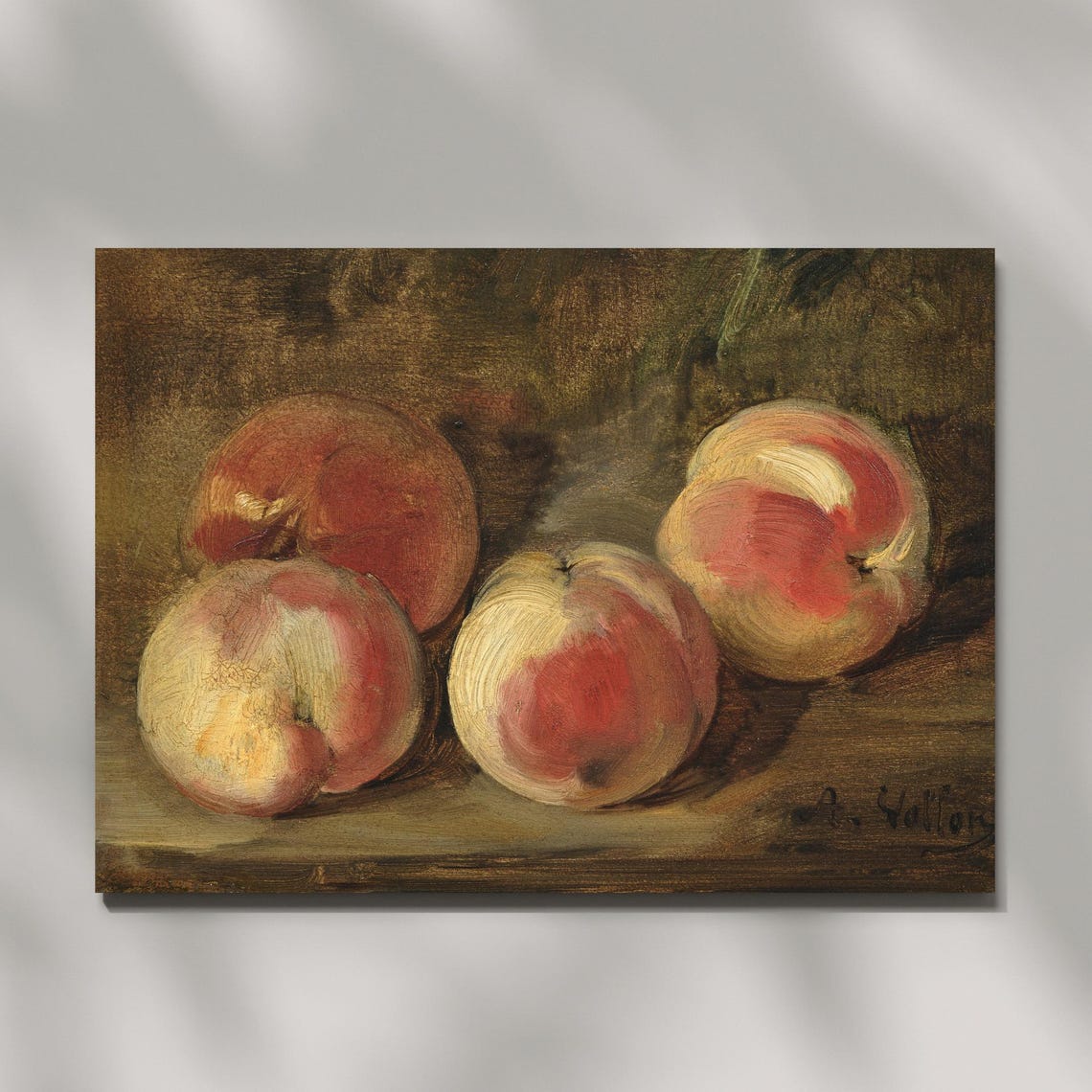 Four Ripe Peaches Dark Background Antoine Vollon Style Poster - Image 5