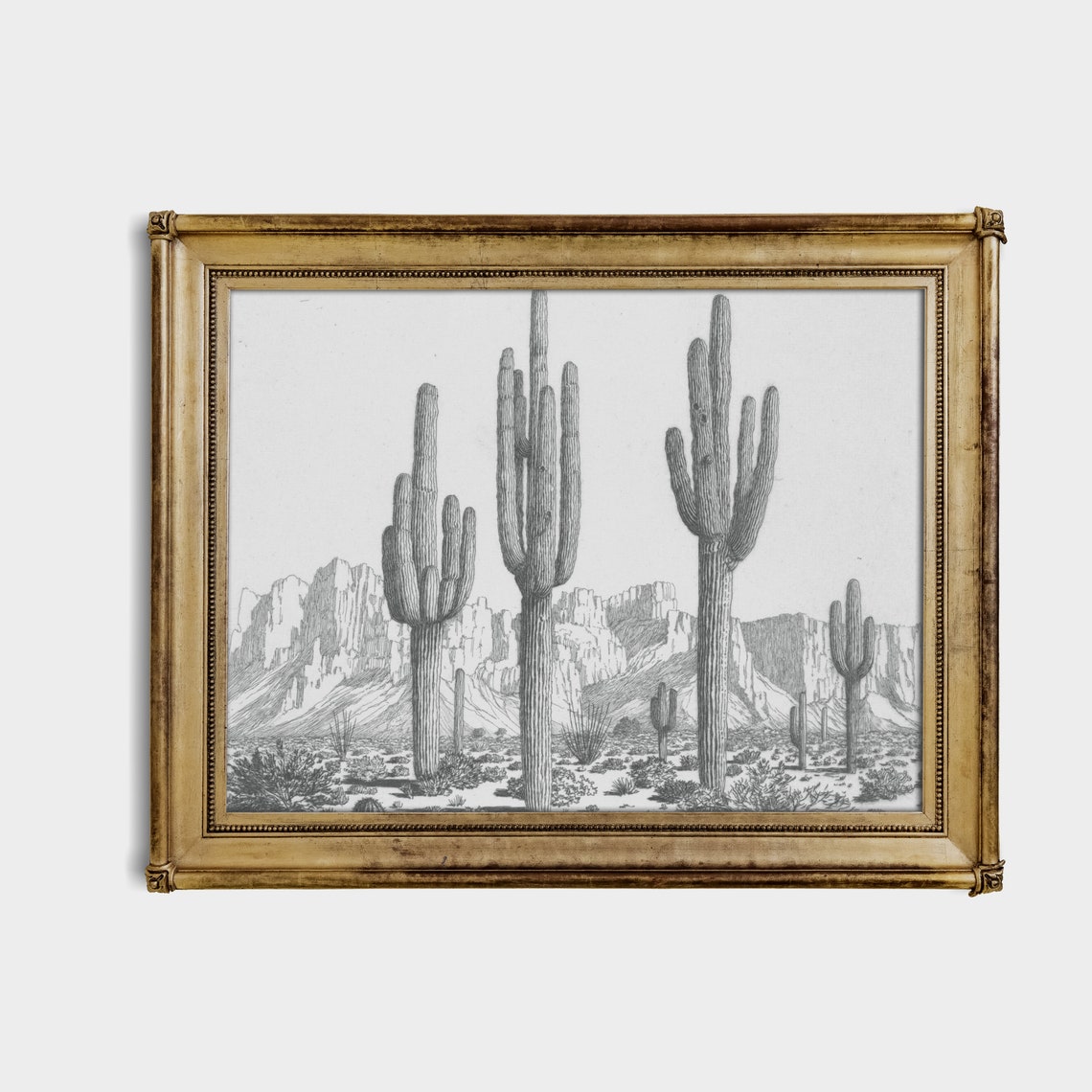 Tall Saguaro Cacti in a Desert Valley Vintage Botanical Sketch Poster - Image 3