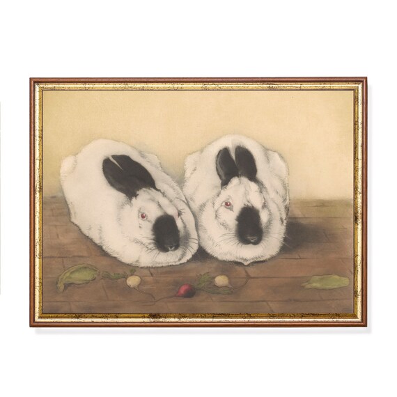 Two White Rabbits with Black Ears and Radishes Vintage Animal Poster