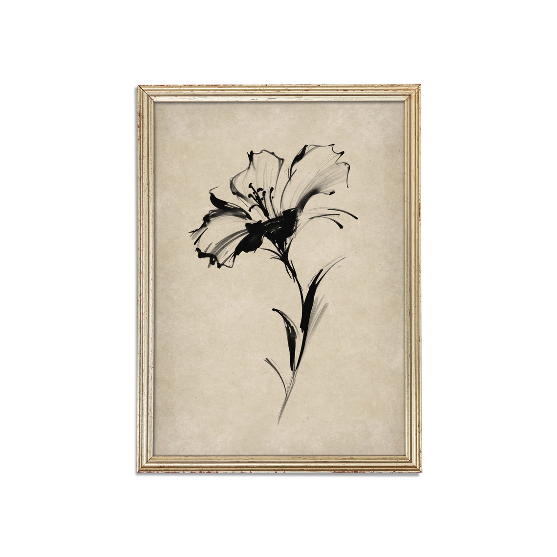 Bold Black Ink Flower Study Minimalist Botanical Line Art Poster - Image 3