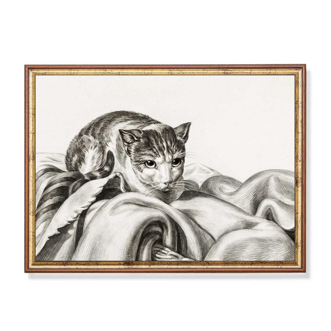 Cat Resting on Draped Fabric Vintage Graphite Drawing Poster