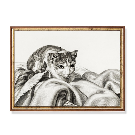Cat Resting on Draped Fabric Vintage Graphite Drawing Poster