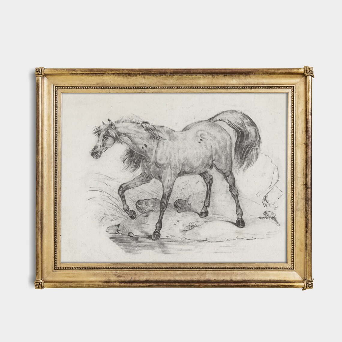 Vintage Horse Sketch Art of an Arabian Horse by the Water Poster - Image 2