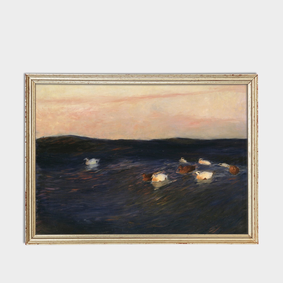 White and Brown Ducks Floating on Dark Water at Pink Sunset Poster - Image 3