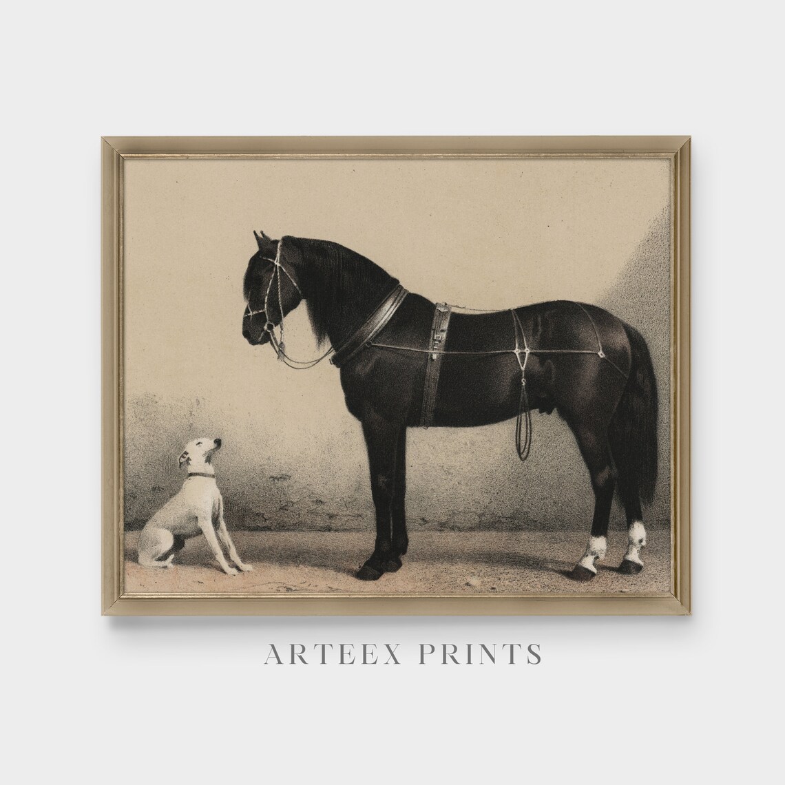 Horse and Dog Vintage Lithograph Art Print, Farmhouse Decor - Image 3