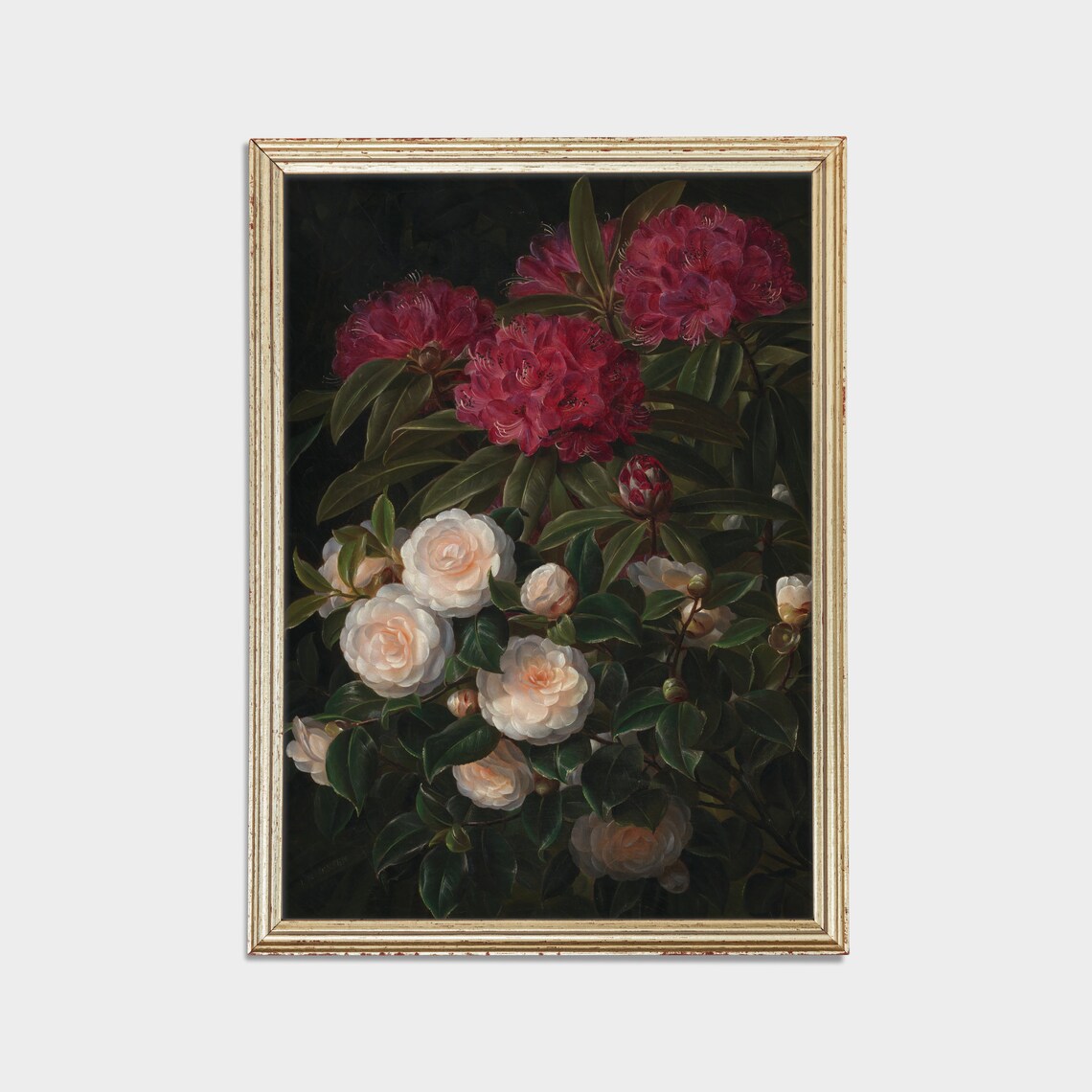 Red Rhododendrons and White Camellias Dark Botanical Floral Poster - Image 2