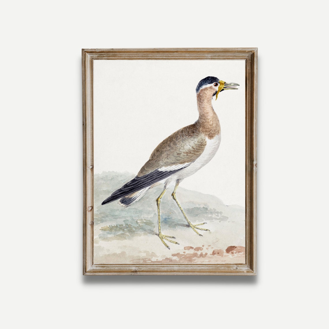 Yellow-Legged Wading Bird Antique Natural History Watercolor Poster - Image 5