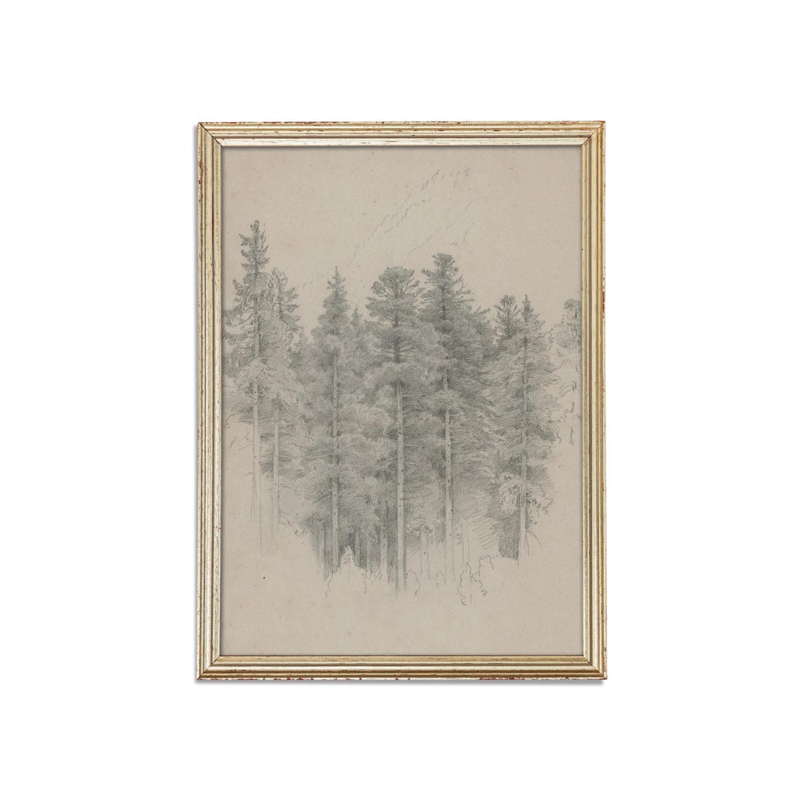Antique Pencil Sketch Of Tall Pines Forest Drawing Art Poster - Image 2