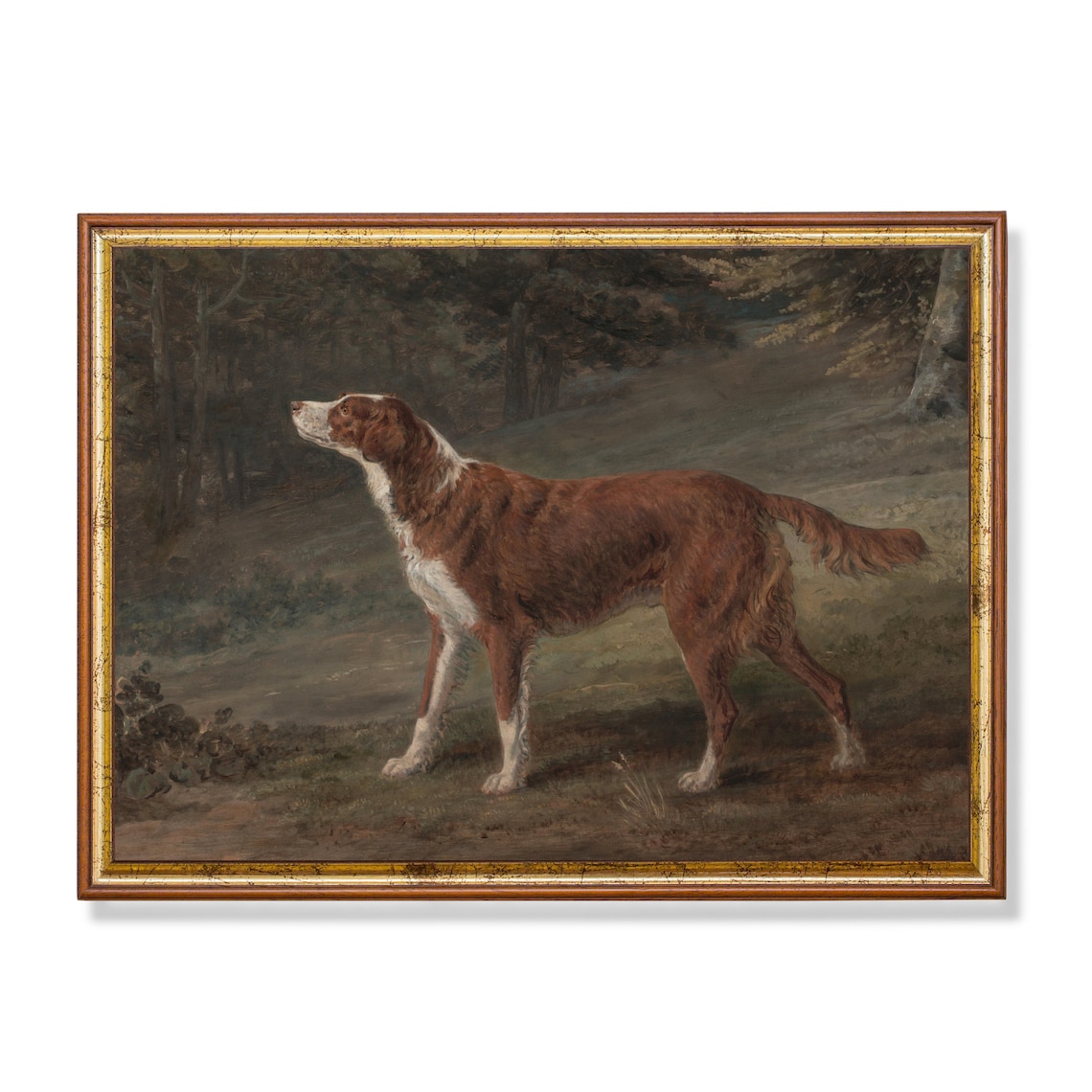 Red Setter Dog in a Woodland Glade Vintage Oil Painting Poster