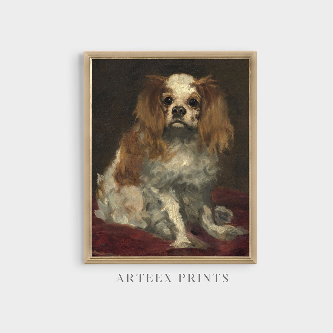 Blenheim Cavalier Spaniel Sitting on a Red Cushion Antique Poster - Image 3