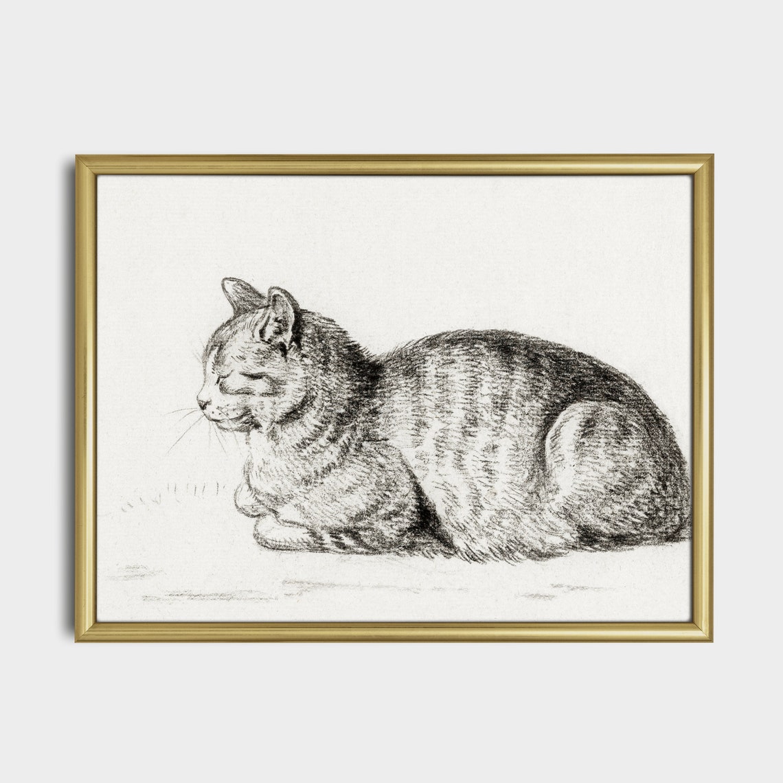Vintage Charcoal Sketch of a Sleeping Tabby Cat in a Loaf Pose Poster - Image 5