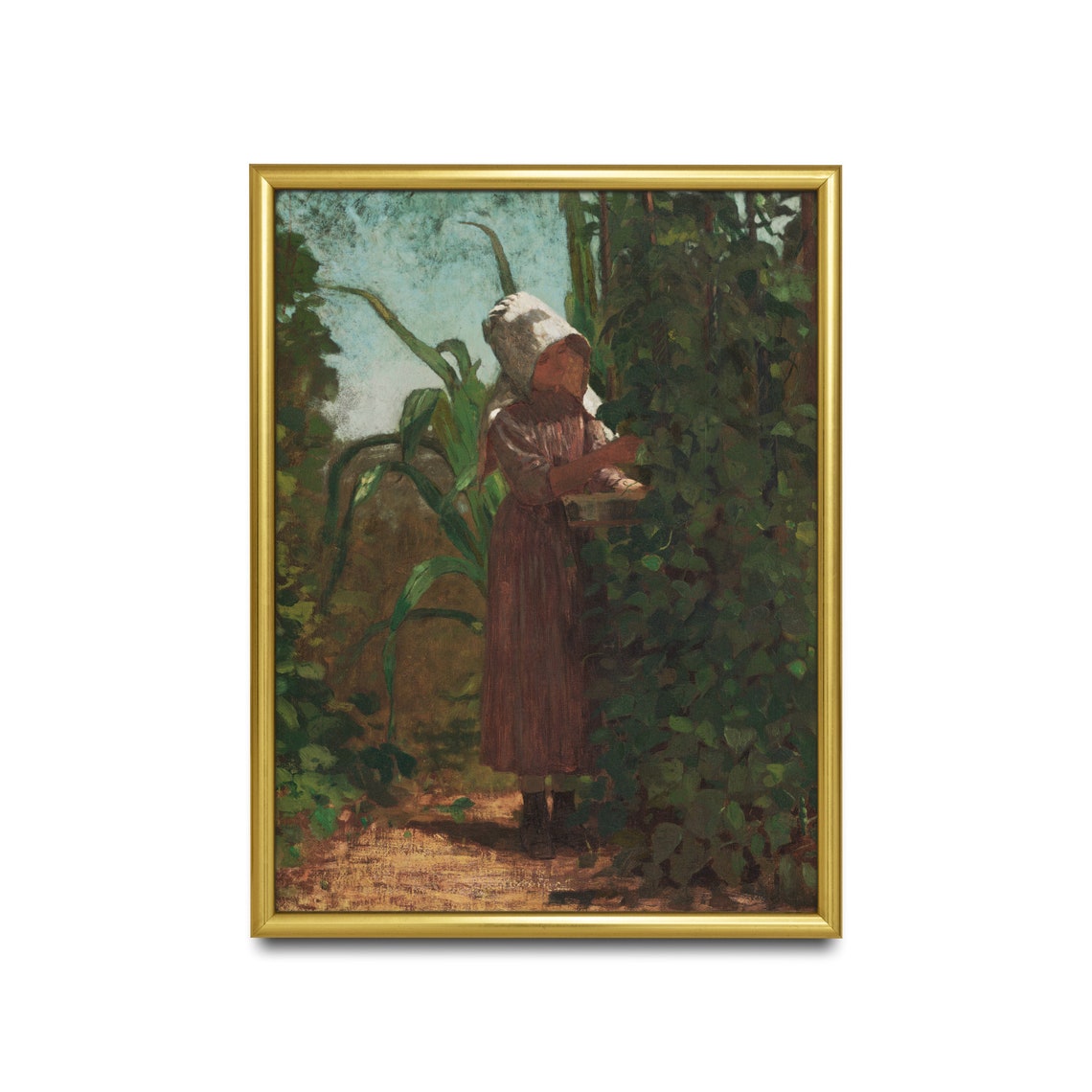 Girl in a Sunbonnet Picking Vegetables Among Corn Stalks Poster - Image 2