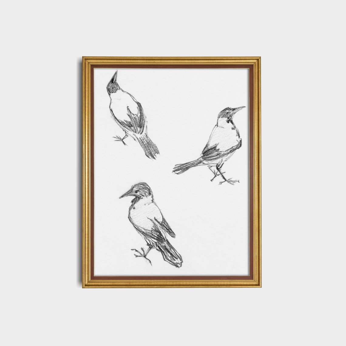 Three Bird Studies in Black Charcoal on White Paper Sketch Poster - Image 2