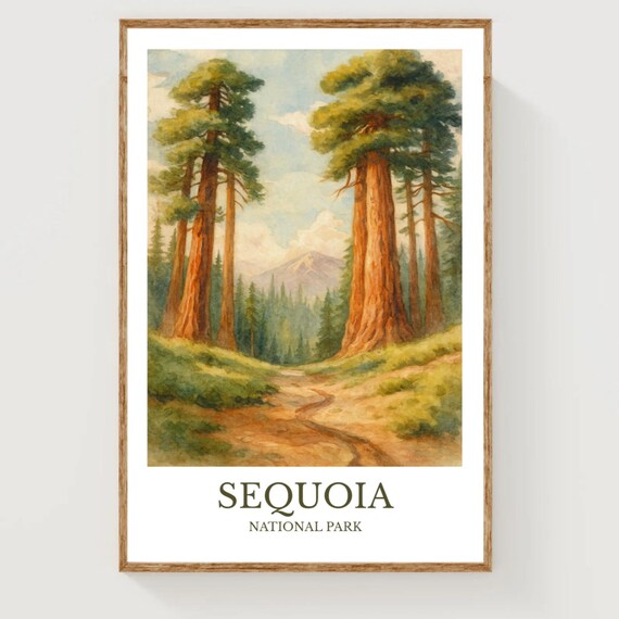 Sequoia National Park Giant Redwood Trees Watercolor Travel Poster