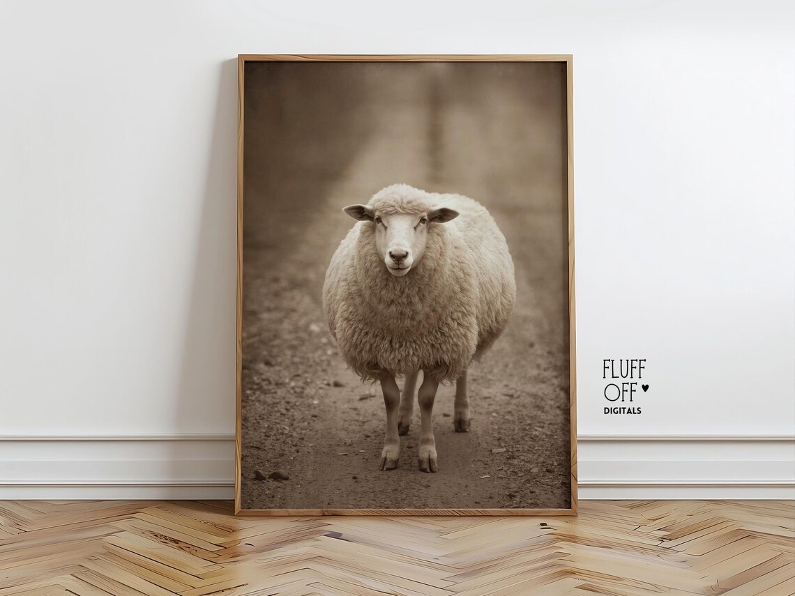 Vintage Sheep Photo Rustic Farmhouse Neutral Country Wall Poster