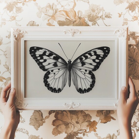 Monochrome Checkered Butterfly Vintage Entomology Plate Poster